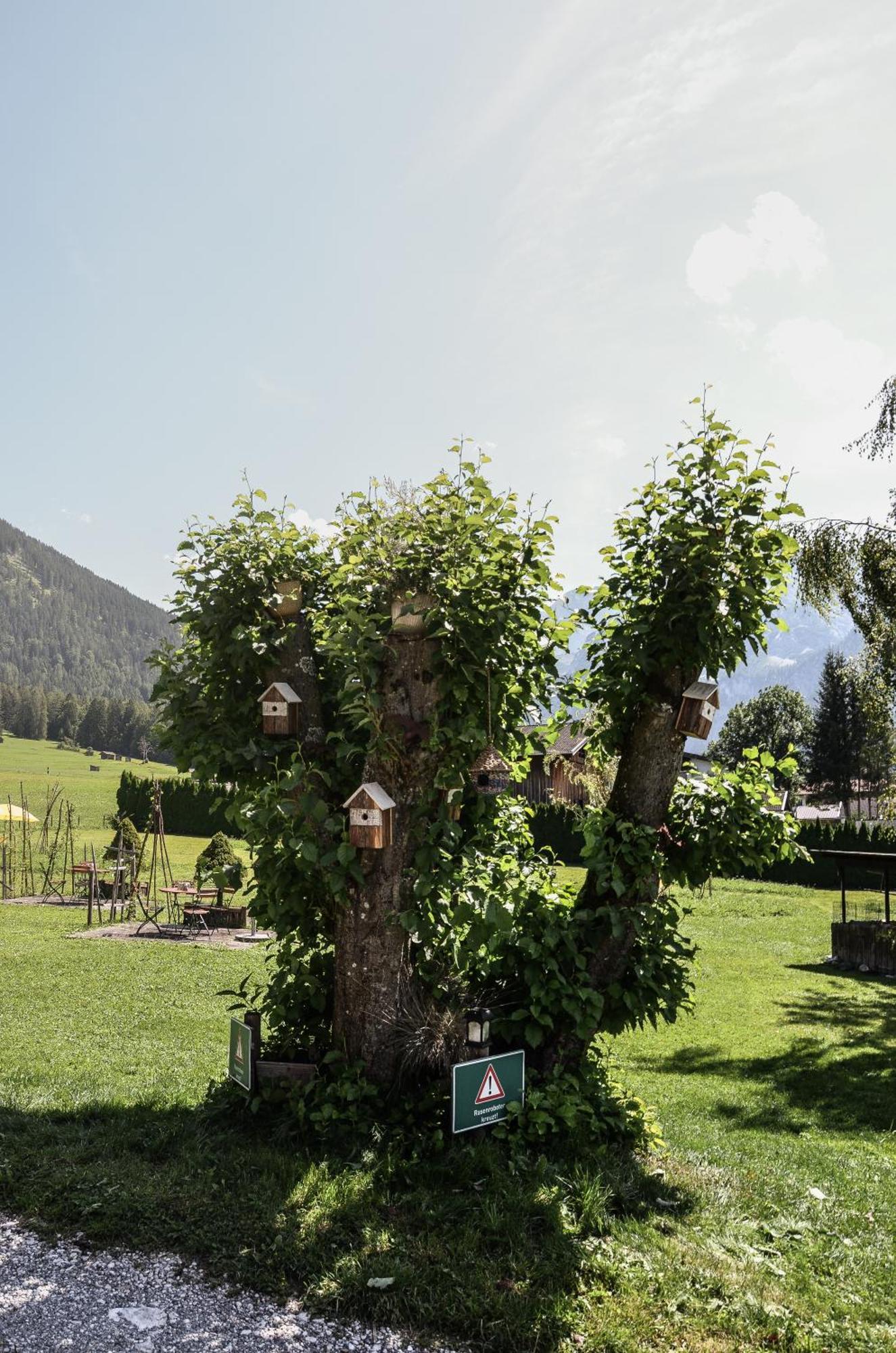 Ehrwalderhof Hotel 3*